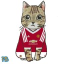 Perfect Day : P-Blur