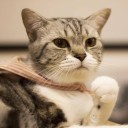 สมาชิกหมายเลข 2557149