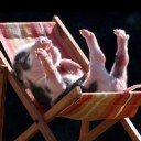 สมาชิกหมายเลข 904338