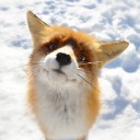 สมาชิกหมายเลข 1324647