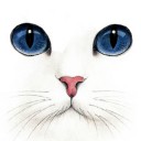 สมาชิกหมายเลข 1753077