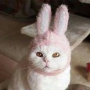 สมาชิกหมายเลข 1254623