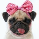 สมาชิกหมายเลข 2166476