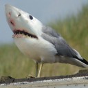 สมาชิกหมายเลข 2410860