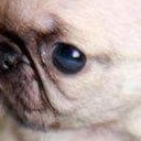 สมาชิกหมายเลข 2520077