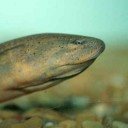 สมาชิกหมายเลข 924034