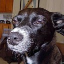 สมาชิกหมายเลข 1776152