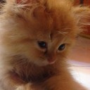 สมาชิกหมายเลข 2166734