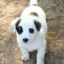 ก้าวต่อไปจะเป็นอย่างไร 1677997