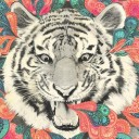 สมาชิกหมายเลข 3413340