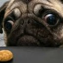 สมาชิกหมายเลข 1753689