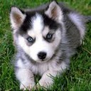 สมาชิกหมายเลข 1015165