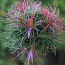 ชอบกินชอบเที่ยว