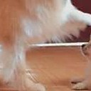 สมาชิกหมายเลข 2966437