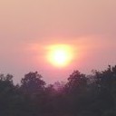 สมาชิกหมายเลข 3381239