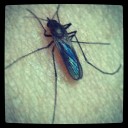 จะเก็บเธออยู่ในใจเสมอ