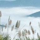 สมาชิกหมายเลข 3414843