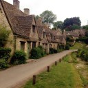 CVปุกปุย