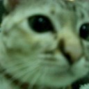 สมาชิกหมายเลข 703501