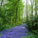 สมาชิกหมายเลข 1326809