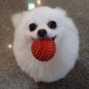 สมาชิกหมายเลข 1266774