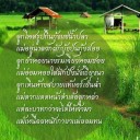 สมาชิกหมายเลข 2562989