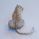 สมาชิกหมายเลข 2894994