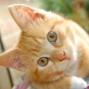 ชื่อนี้มันจะดีนะ