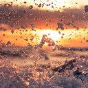 สมาชิกหมายเลข 1755388