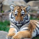 สมาชิกหมายเลข 2168501