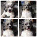 สมาชิกหมายเลข 2168874