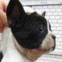 สมาชิกหมายเลข 2335995