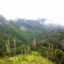 Nothing can bring Me down