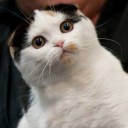 สมาชิกหมายเลข 1756151