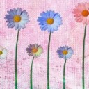 สมาชิกหมายเลข 1997676