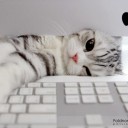 สมาชิกหมายเลข 1278130