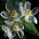 สมาชิกหมายเลข 2827268