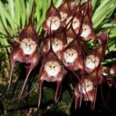 สมาชิกหมายเลข 2533950