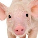 สมาชิกหมายเลข 708481