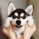 สมาชิกหมายเลข 1328381