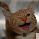 สมาชิกหมายเลข 1756195