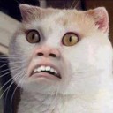 สมาชิกหมายเลข 2563921