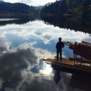 สมาชิกหมายเลข 1541718