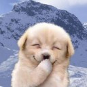 สมาชิกหมายเลข 2968277