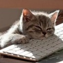 หิมะสีฝุ่น