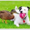 ทำนายปลายกราฟ