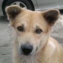 สมาชิกหมายเลข 794283