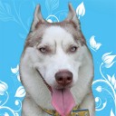 สมาชิกหมายเลข 838147