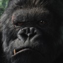 สมาชิกหมายเลข 887095