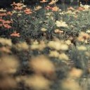 สมาชิกหมายเลข 927006